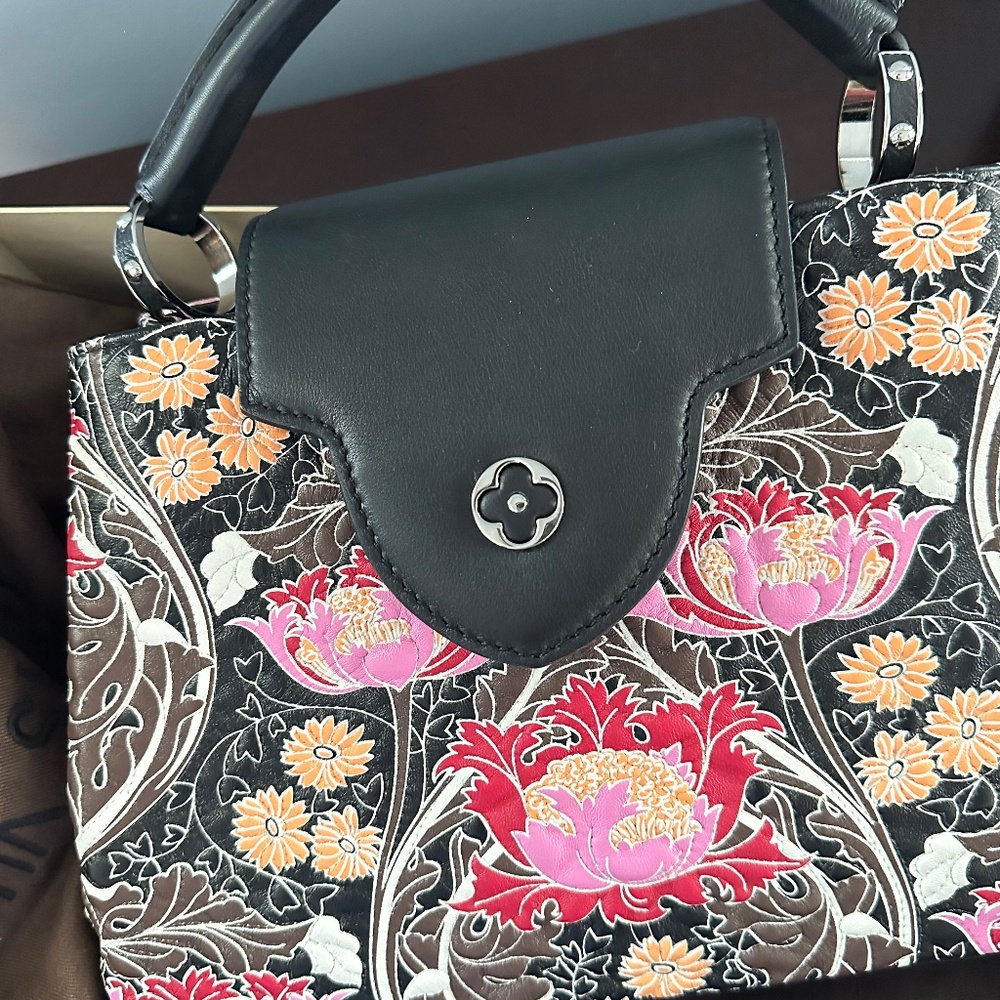 Louis Vuitton runway handbag. Never used!